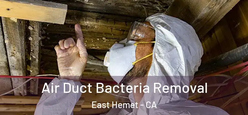 Air Duct Bacteria Removal East Hemet - CA