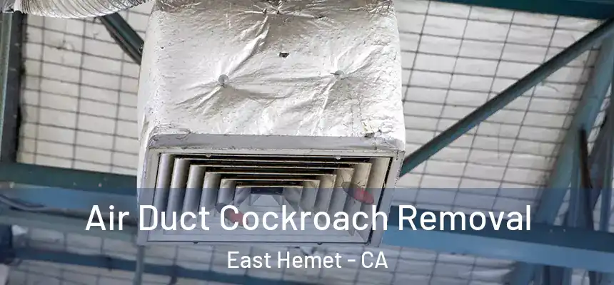 Air Duct Cockroach Removal East Hemet - CA