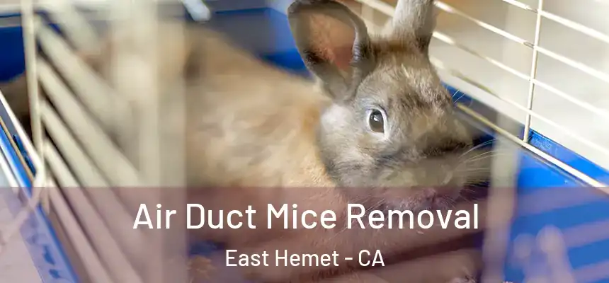 Air Duct Mice Removal East Hemet - CA