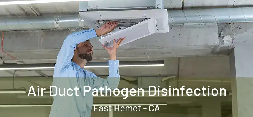 Air Duct Pathogen Disinfection East Hemet - CA