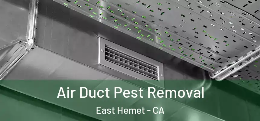 Air Duct Pest Removal East Hemet - CA
