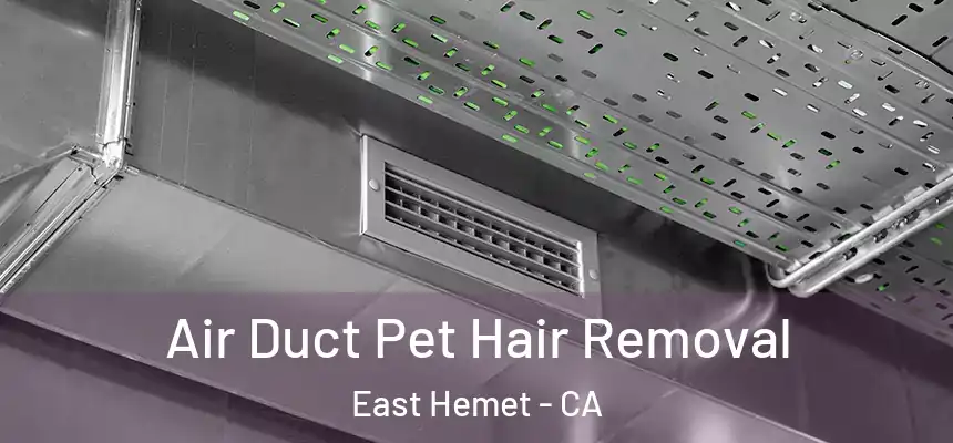 Air Duct Pet Hair Removal East Hemet - CA