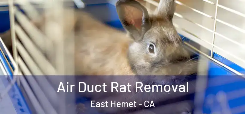 Air Duct Rat Removal East Hemet - CA