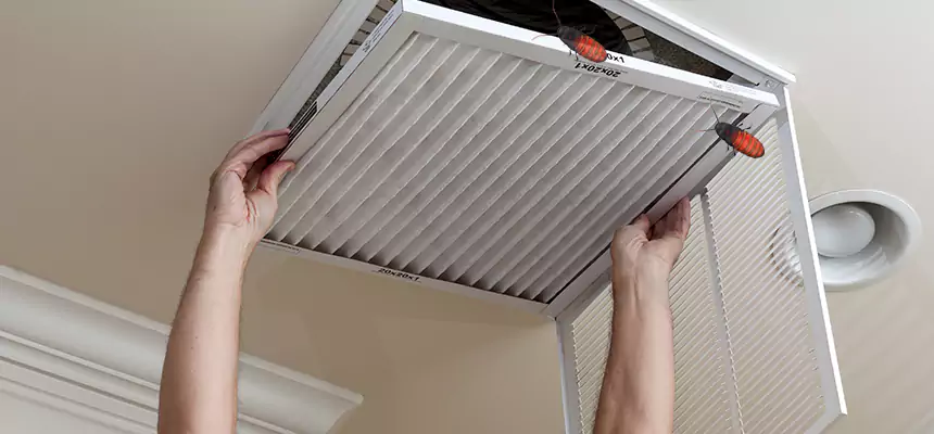 Preventive Cockroach-Proofing for Ducts in East Hemet