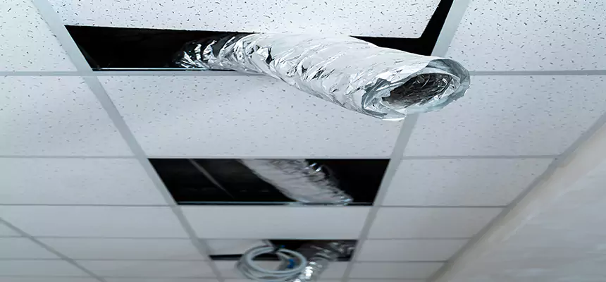 Affordable HVAC Sanitizing After Pest Removal in East Hemet