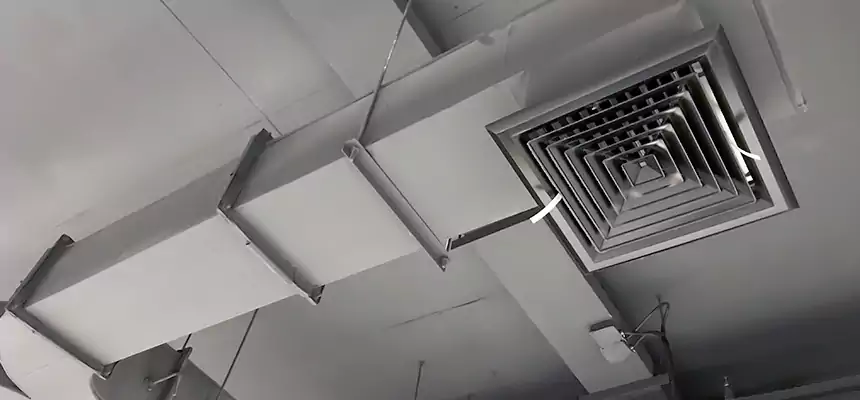 Restorative Allergy Relief Vent Cleaning – Coil, Blower & Housing Detail in East Hemet