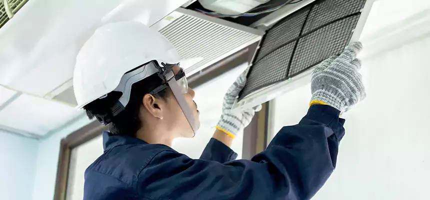 Our Mold & Mildew Removal from Air Ducts Services in East Hemet, CA