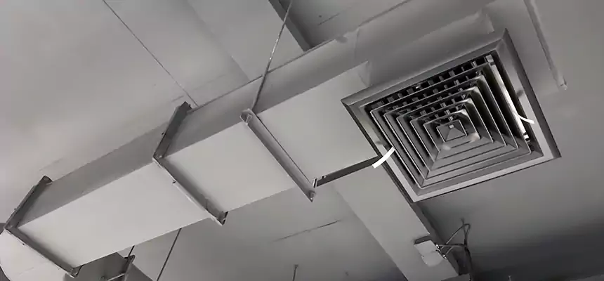 Our Pest Removal From Ducts Services in East Hemet, CA