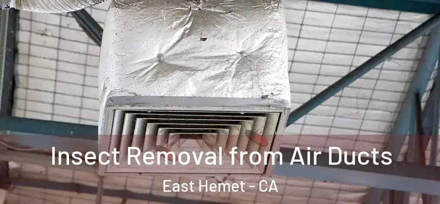 Insect Removal from Air Ducts East Hemet - CA