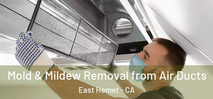 Mold & Mildew Removal from Air Ducts East Hemet - CA