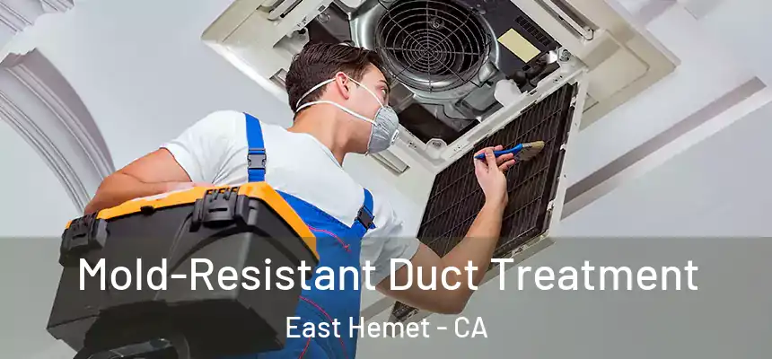 Mold-Resistant Duct Treatment East Hemet - CA