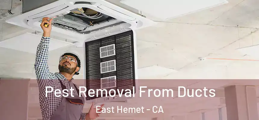 Pest Removal From Ducts East Hemet - CA