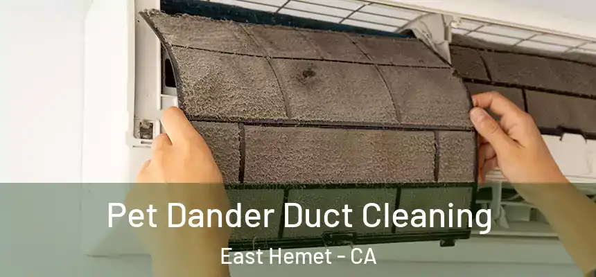 Pet Dander Duct Cleaning East Hemet - CA