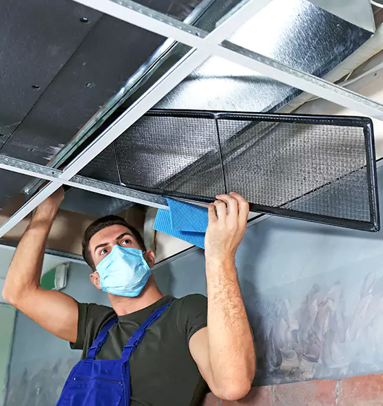 About Air Duct Bacteria Removal in East Hemet
