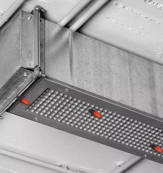 About Air Duct Cockroach Removal in East Hemet, CA
