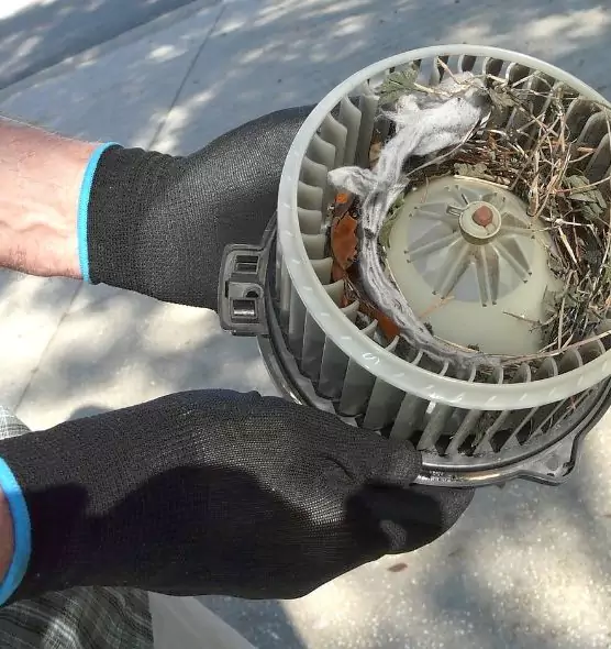 About Air Duct Rat Removal in East Hemet, CA