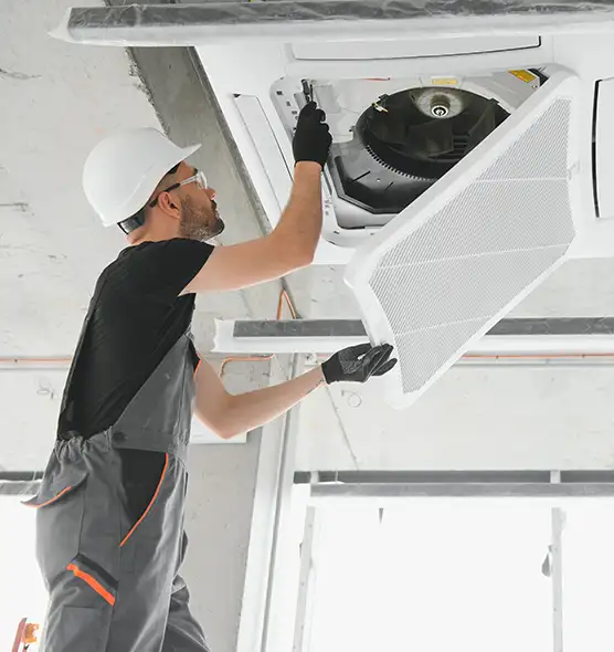 About Air Duct Rodent Removal in East Hemet, CA