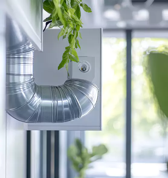 Professional Eco-Friendly Duct Cleaning Services in East Hemet, CA