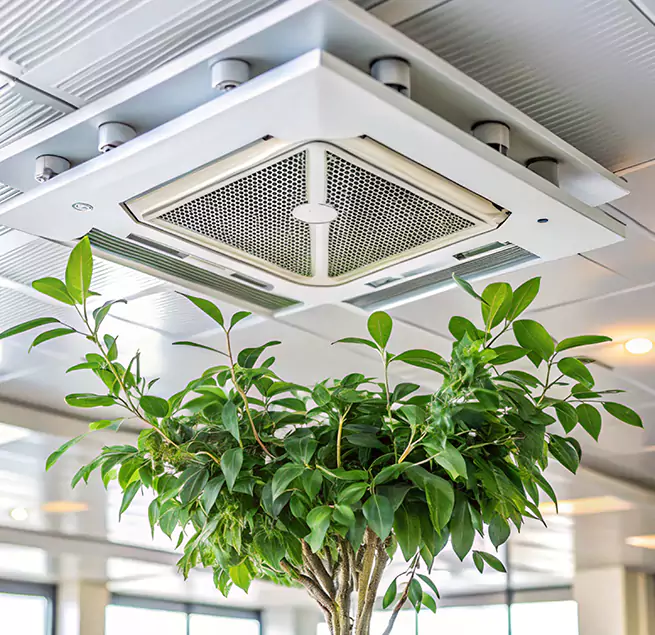 Why Homeowners & Businesses Trust Us in East Hemet, CA