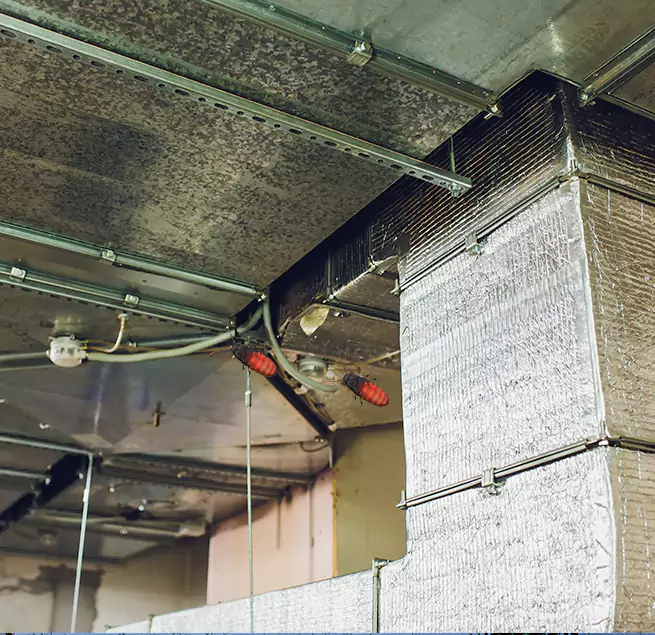 Why Homeowners & Businesses Trust Us East Hemet, CA?